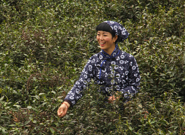 末路狂花